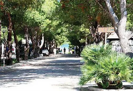 Hotel La Pineta 4*